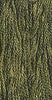 Moss-0194