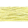 Daisy- 0660
